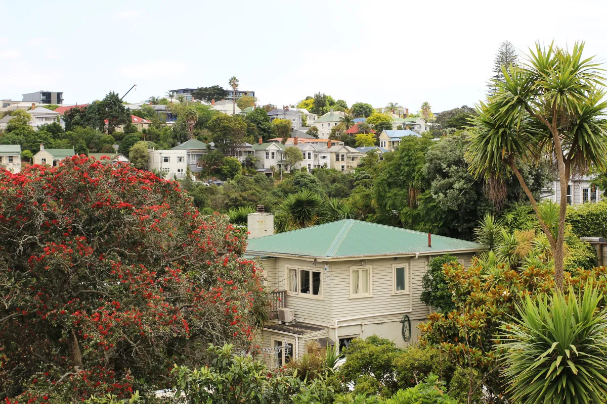 Mature trees adding value to a property
